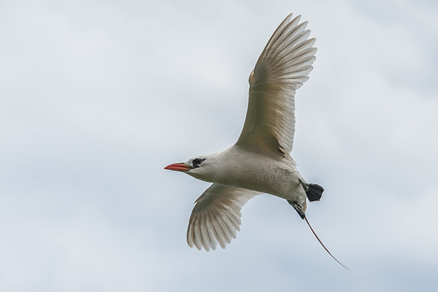 Photo Tip of the Week: Compositions in Nature (Part 2)